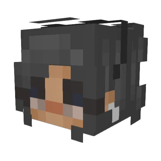 Affl0w Minecraft avatar head, 3D render