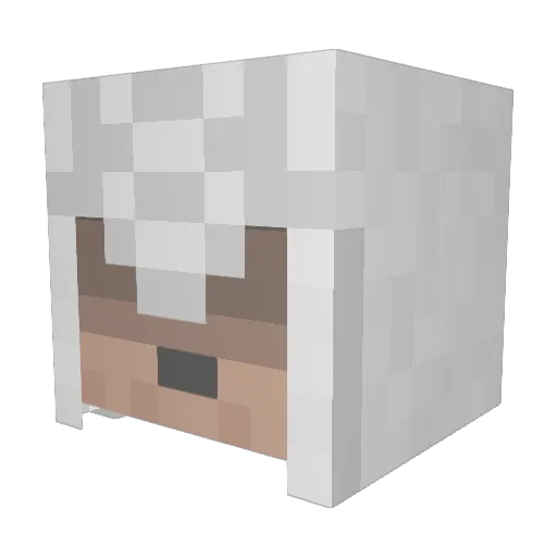 Afflicitor Minecraft avatar head, 3D render