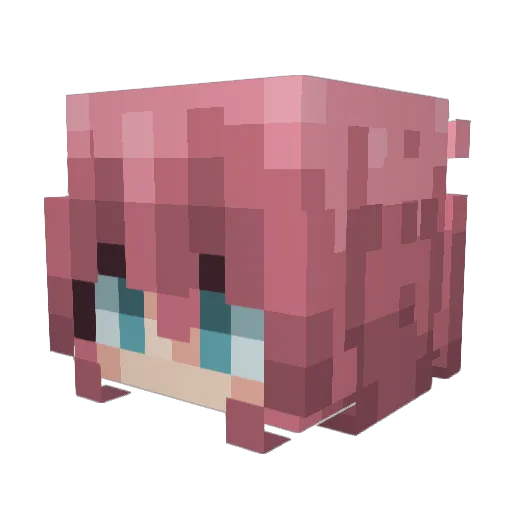 Afigitis Minecraft avatar head, 3D render