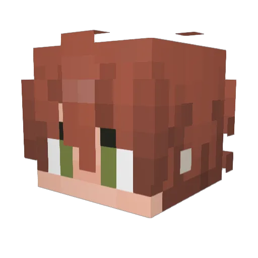 AfkSpace Minecraft avatar head, 3D render