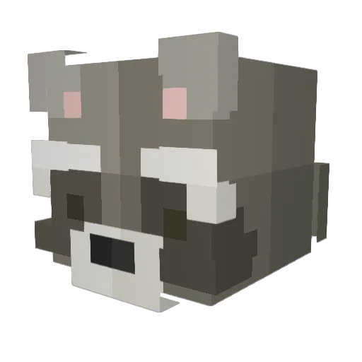 Afk_Natty Minecraft avatar head, 3D render