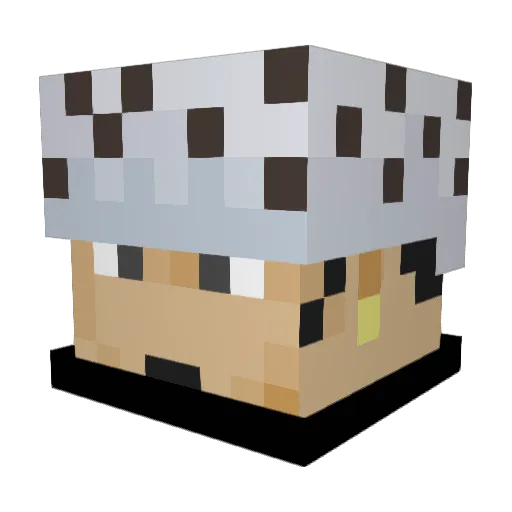 Afkcosmo Minecraft avatar head, 3D render