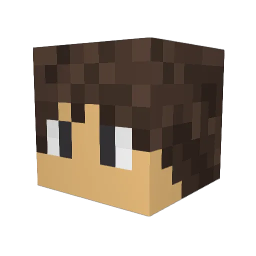 Afonso9000 Minecraft avatar head, 3D render