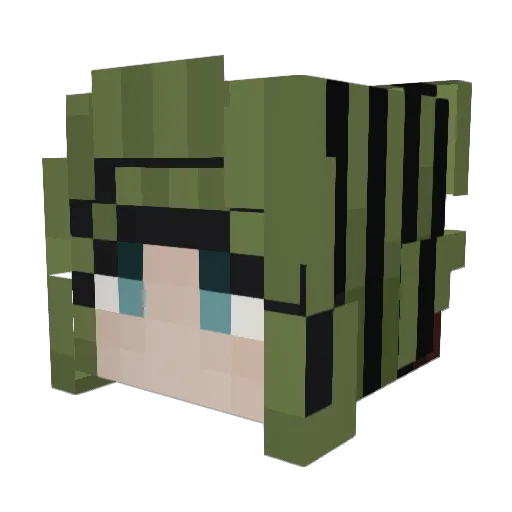 Afortunity9 Minecraft avatar head, 3D render