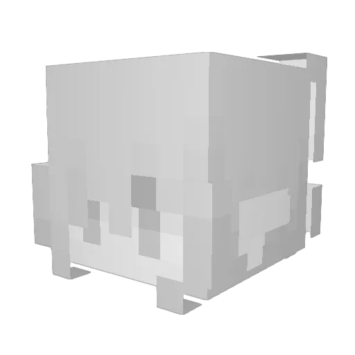 Afourer Minecraft avatar head, 3D render