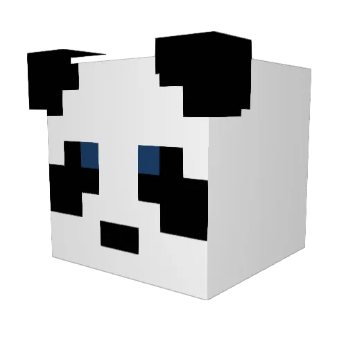 AfroPanda88 Minecraft avatar head, 3D render