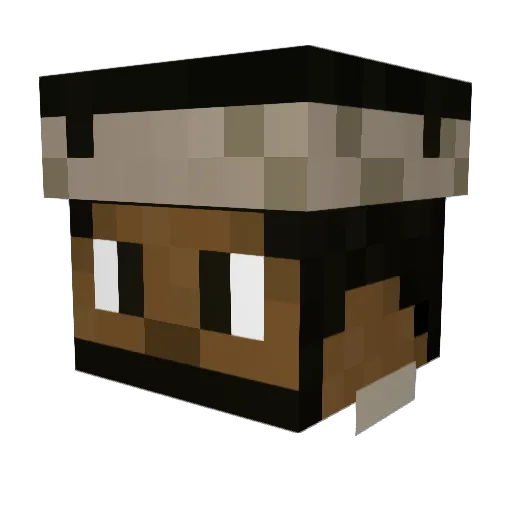 Afroman33 Minecraft avatar head, 3D render