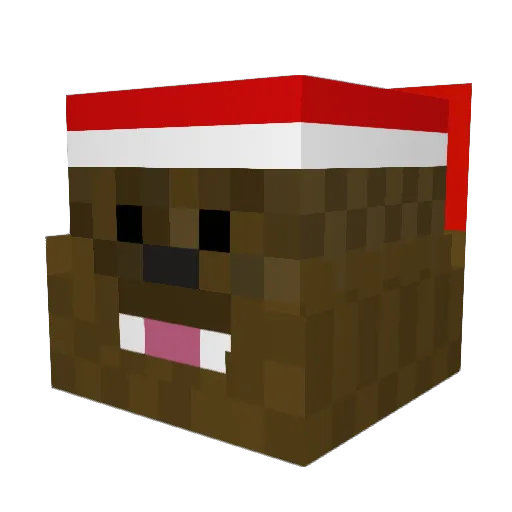 Afterboyn Minecraft avatar head, 3D render
