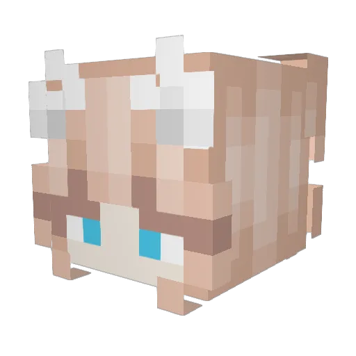 Afterglow0214 Minecraft avatar head, 3D render