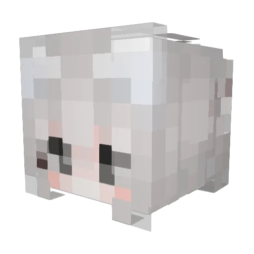 Aftergolw Minecraft avatar head, 3D render