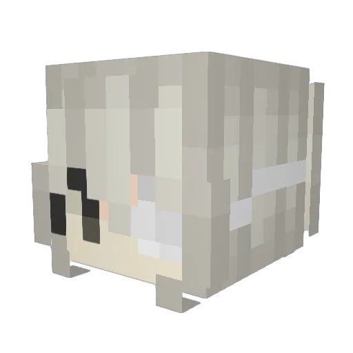 Afterimage Minecraft avatar head, 3D render