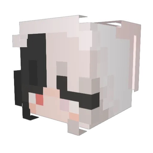 Afterka Minecraft avatar head, 3D render