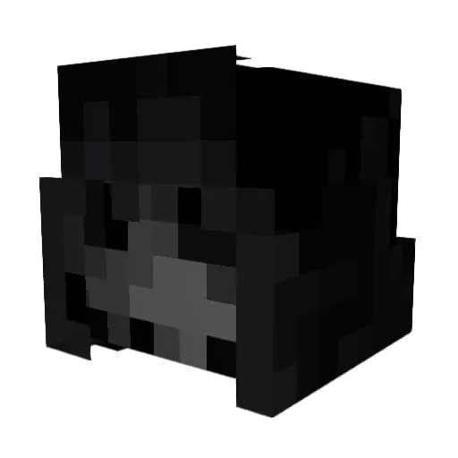 Afterlifekill3r Minecraft avatar head, 3D render