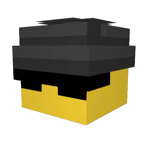 Afterpass Minecraft avatar head, 3D render
