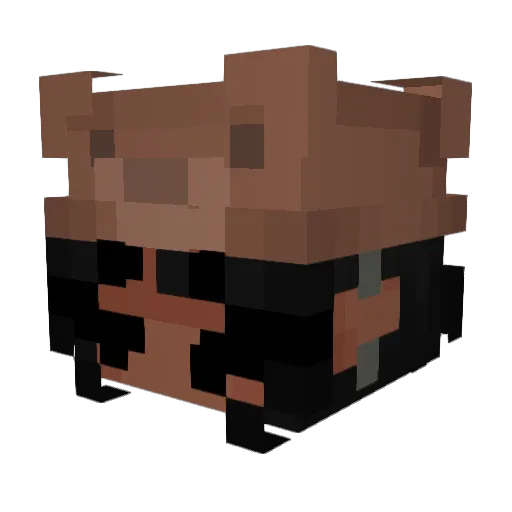 AftonsAng3l Minecraft avatar head, 3D render