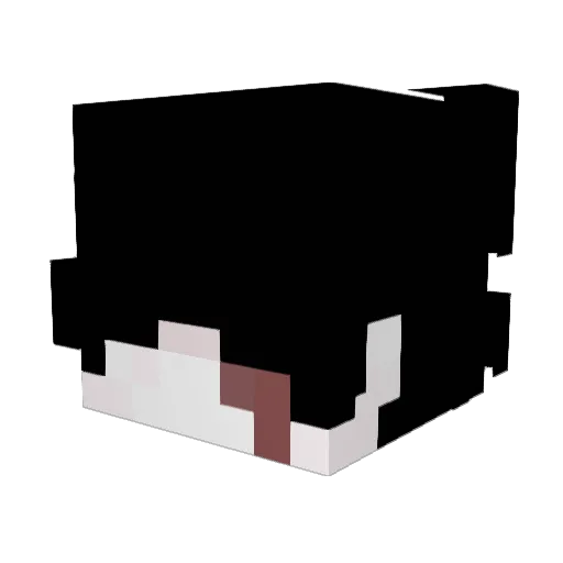 Afuries Minecraft avatar head, 3D render