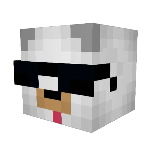 Afvee Minecraft avatar head, 3D render