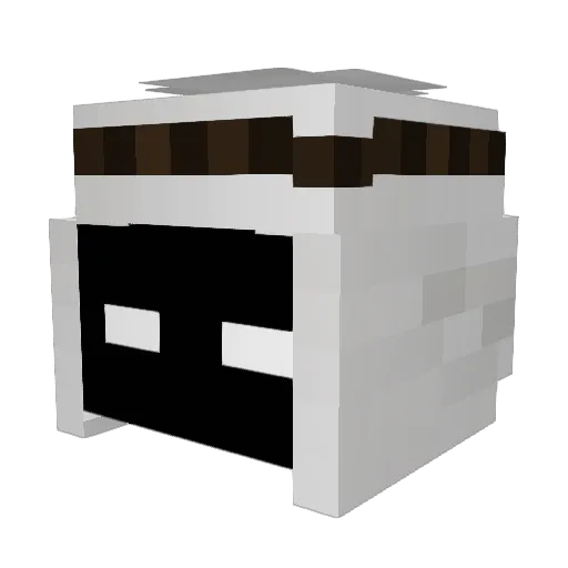 Afxxz Minecraft avatar head, 3D render