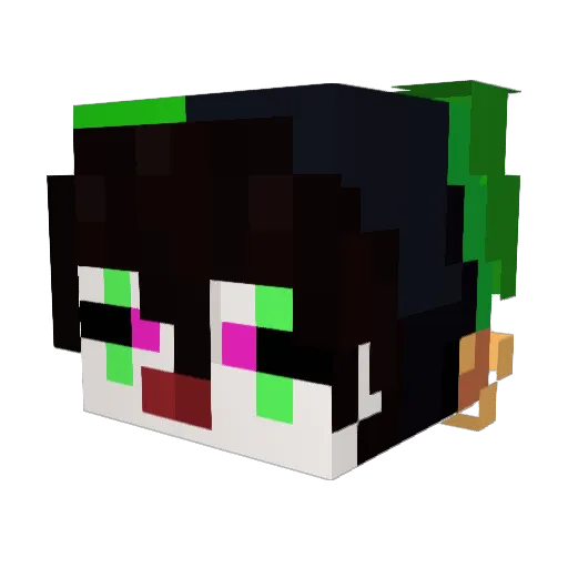 AgEnTbOnEsErIoUs Minecraft avatar head, 3D render