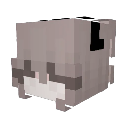 AgOniiiiii Minecraft avatar head, 3D render