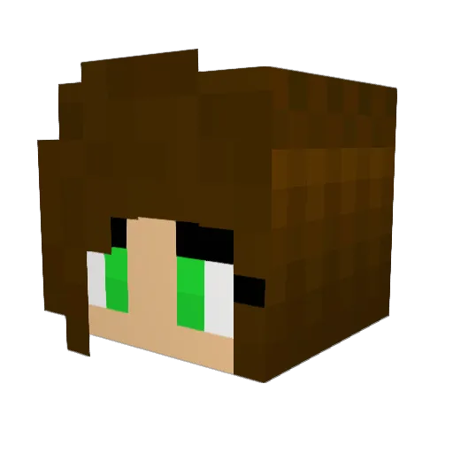 AgRocksi Minecraft avatar head, 3D render