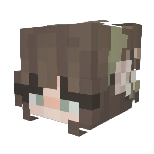 Aga18xd Minecraft avatar head, 3D render