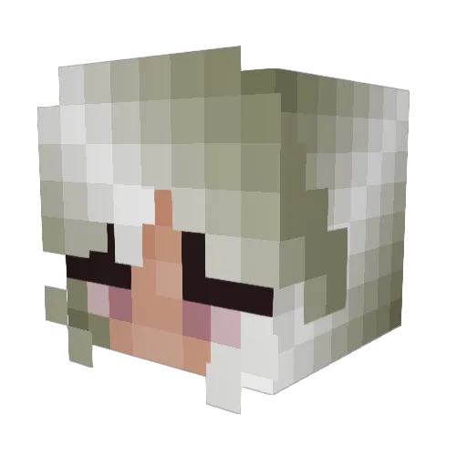 Aga_chang Minecraft avatar head, 3D render