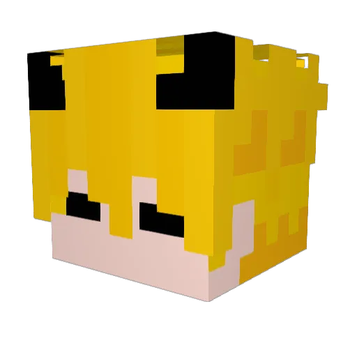 AgahPro37 Minecraft avatar head, 3D render