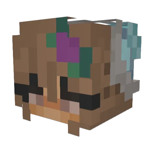 Agam0802 Minecraft avatar head, 3D render