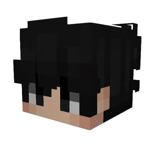 Agarci Minecraft avatar head, 3D render