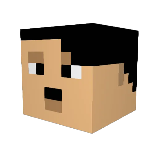 Agartha271kCP Minecraft avatar head, 3D render