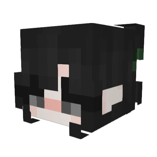 AgateSlinky6242 Minecraft avatar head, 3D render