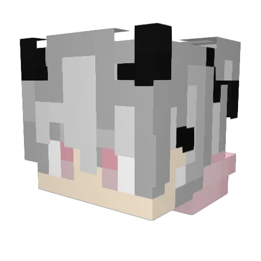 AgateTheG Minecraft avatar head, 3D render