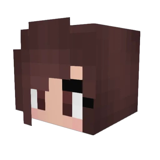 Agate_Penguin Minecraft avatar head, 3D render