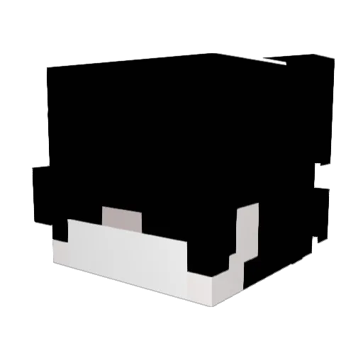 Agatha0214 Minecraft avatar head, 3D render