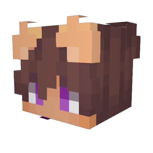 AgeOfMarcus Minecraft avatar head, 3D render