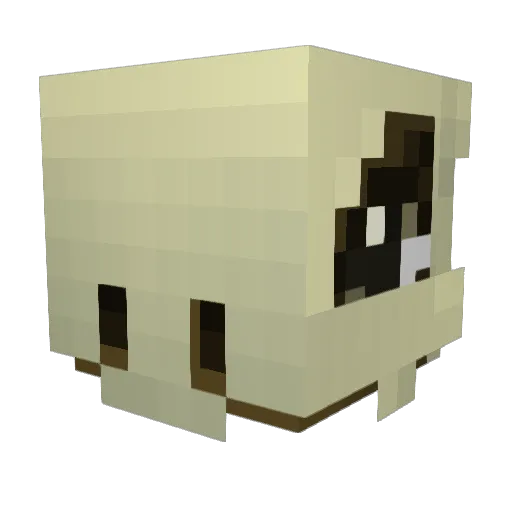 Ageegee Minecraft avatar head, 3D render