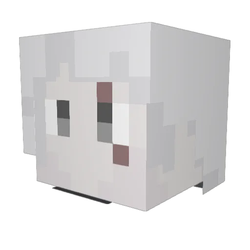 Agenir_ Minecraft avatar head, 3D render