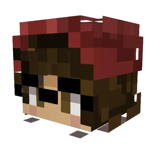 Agent11111 Minecraft avatar head, 3D render