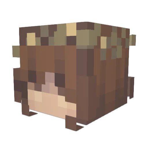 AgentAlex001 Minecraft avatar head, 3D render