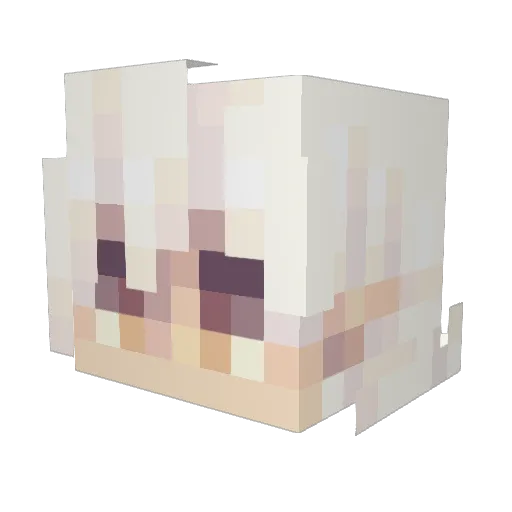 AgentAlphakill Minecraft avatar head, 3D render