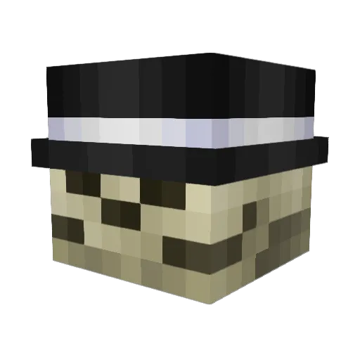 AgentAragog Minecraft avatar head, 3D render