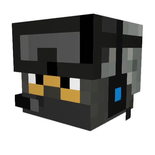 AgentB24 Minecraft avatar head, 3D render