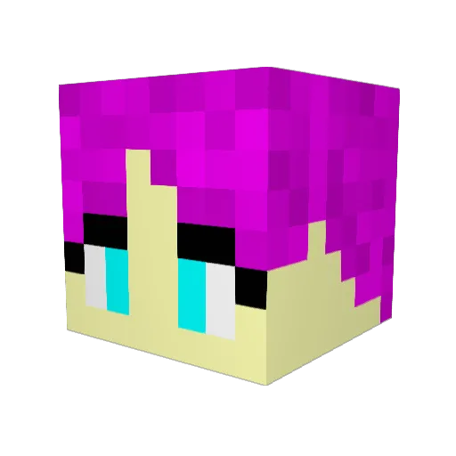 AgentCupcake1 Minecraft avatar head, 3D render