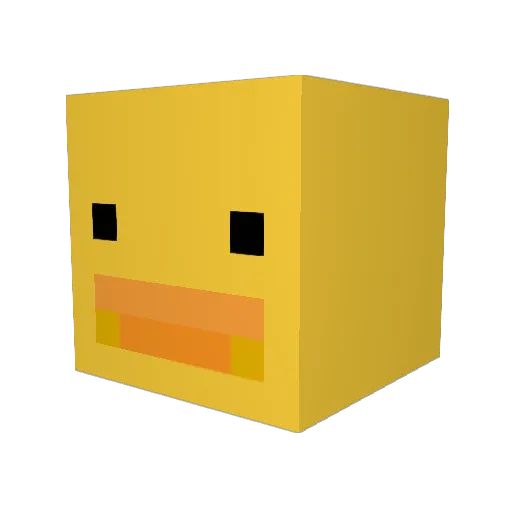 AgentDuck12 Minecraft avatar head, 3D render