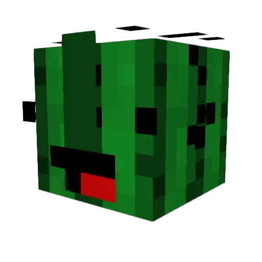 AgentGrify3 Minecraft avatar head, 3D render