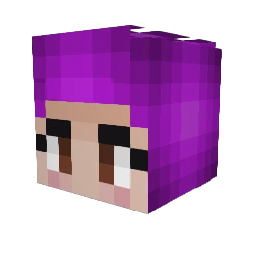 AgentHush Minecraft avatar head, 3D render