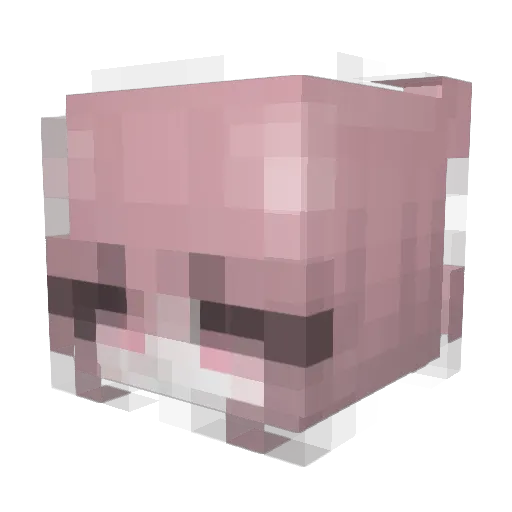 AgentInfect Minecraft avatar head, 3D render