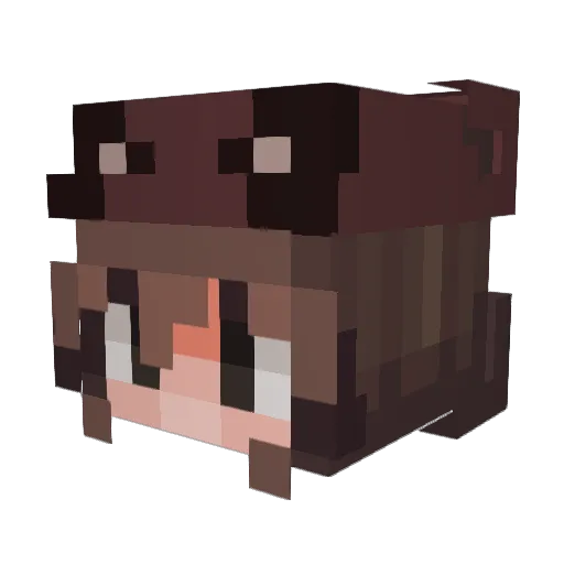 AgentJackie Minecraft avatar head, 3D render