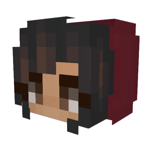 AgentKiwi Minecraft avatar head, 3D render